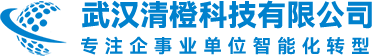 武汉清橙科技有限公司logo