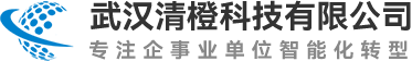 武汉清橙科技有限公司logo